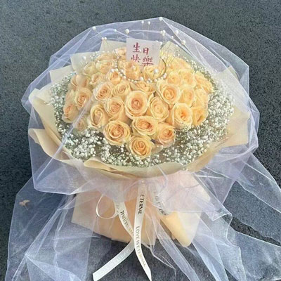 哈尔滨52朵香槟玫瑰满天星，你就是我的全部