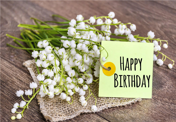 哈尔滨好朋友过生日，生日祝福语怎么说？